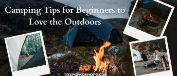 10 Powerful Camping Tips for Beginners to Love the Outdoors