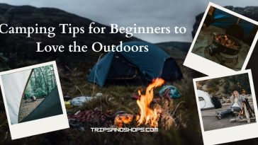 10 Powerful Camping Tips for Beginners to Love the Outdoors