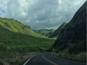 10 Epic U.S. Scenic Drives to Explore Stunning Landscapes